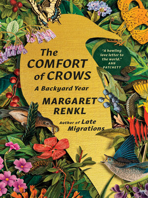 cover image of The Comfort of Crows